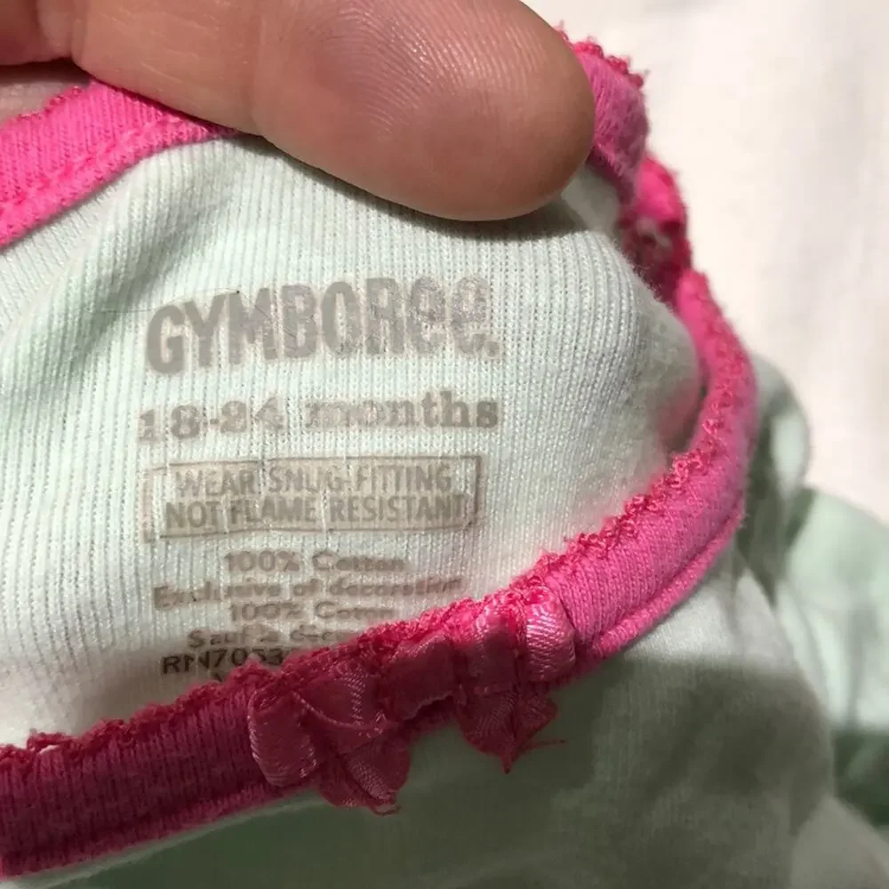 Gymboree bunny pjs good used condition 18-24